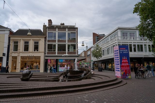 Lezing: Drienerwoldelezing: 700 jaar literatuur in Enschede